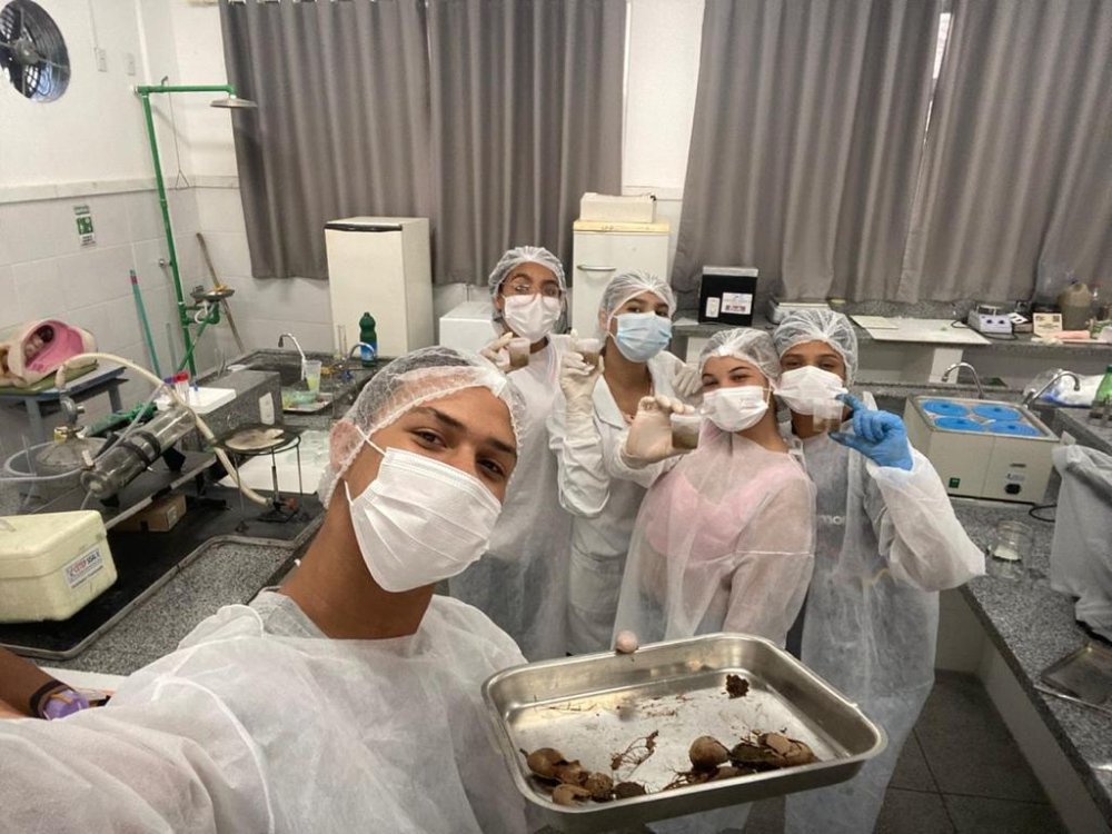 Estudantes de Araci desenvolvem biocombustível a partir do tamarindo